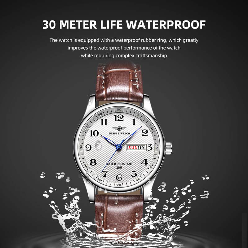 WLISTH Luxury Brand Men's Watc - Luxury Watch Arabic 评论和价格