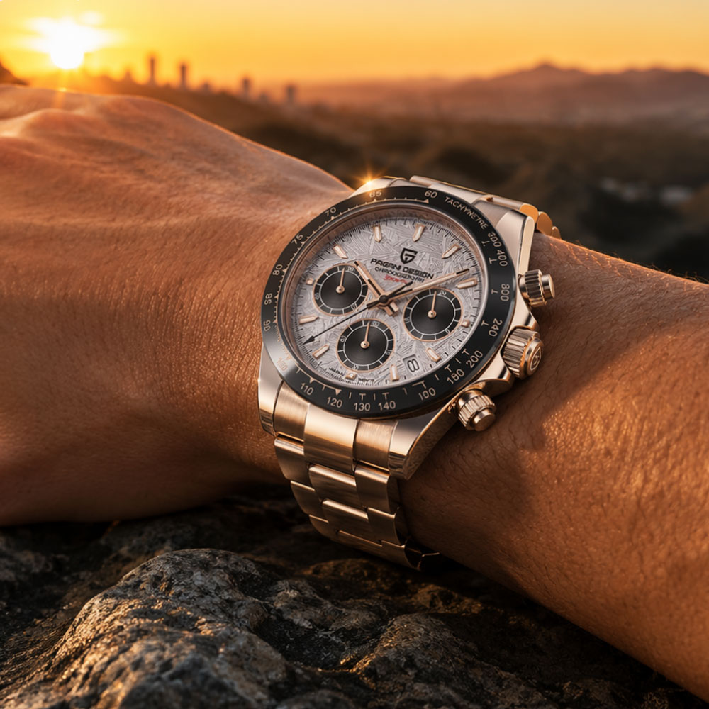 Top Brand PAGANI DESIGN Luxury - Luxury Watch Logo 评论和价格